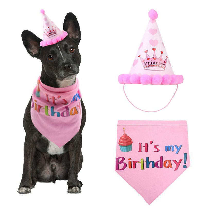 Dogs Birthday Headwear