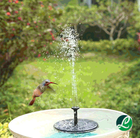 Solar Powered Fountain Pump