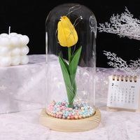 Thumbnail for Glass-covered Perpetual Flower Night Light Ornaments