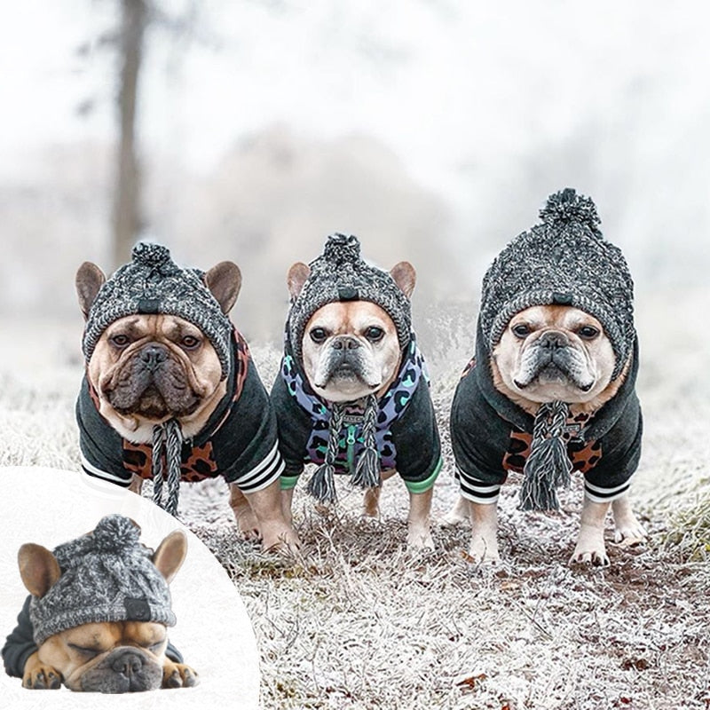 PoochPom - Polar Dog Pom Pom Hat