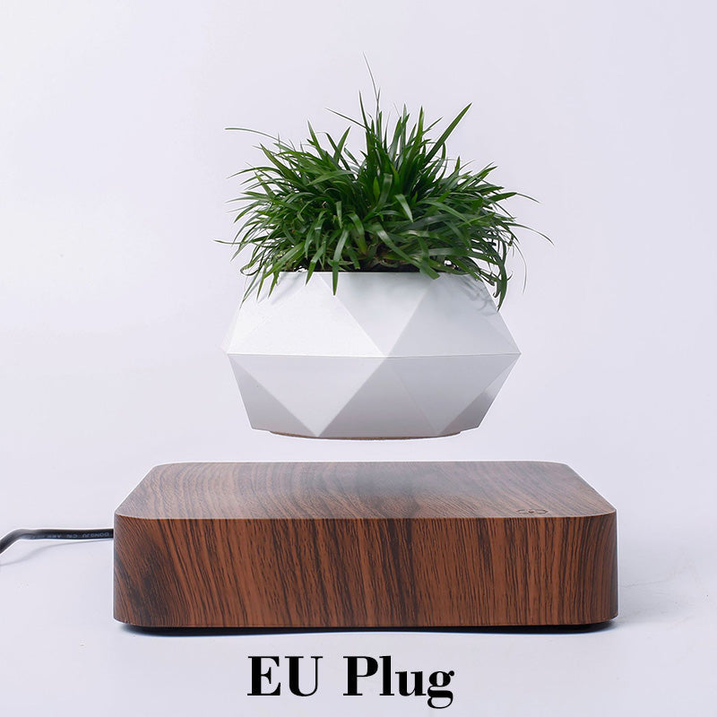 LEVITATING POT