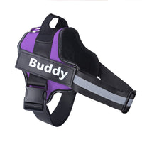 Thumbnail for Strap N Walk-Personalized Safety Dog Harness