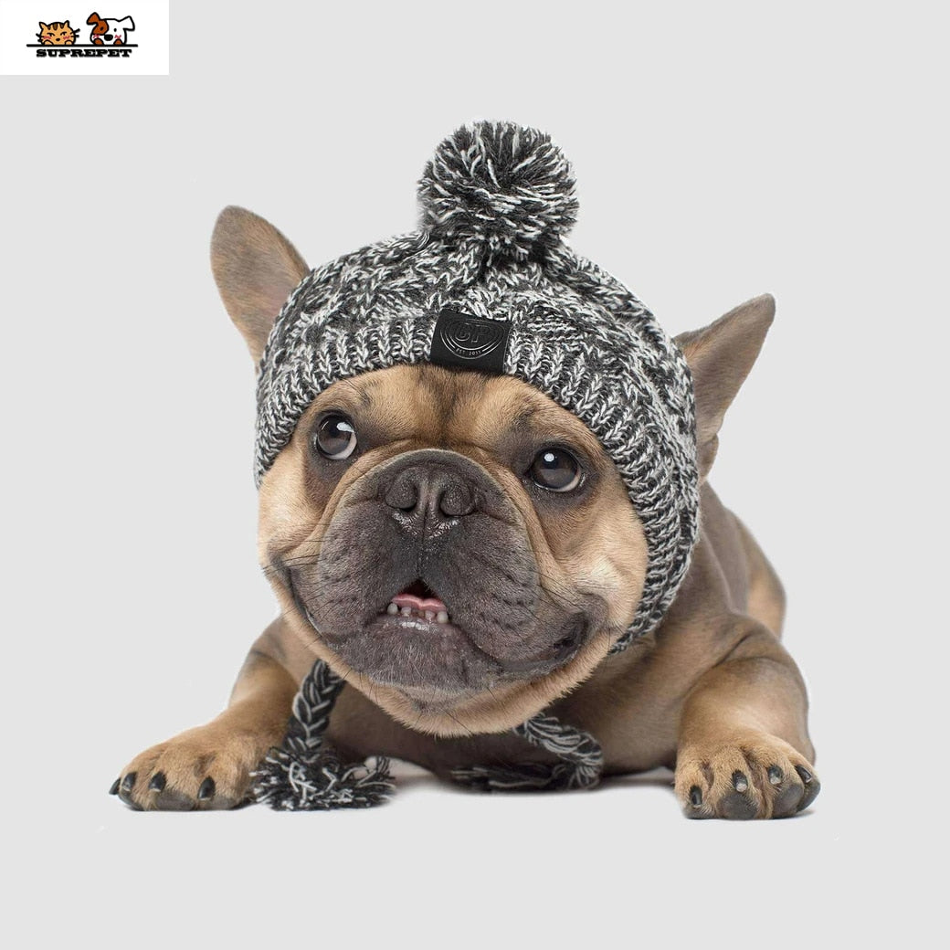 PoochPom - Polar Dog Pom Pom Hat