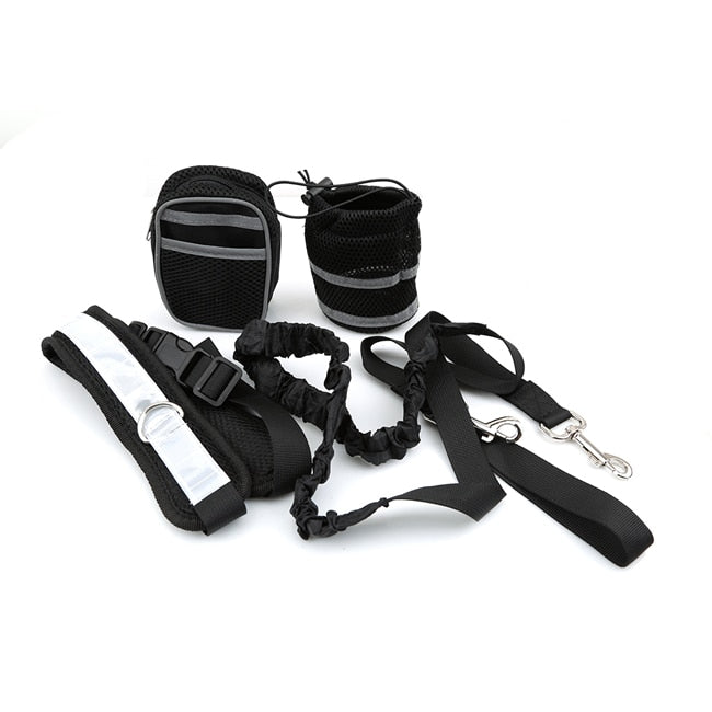 ELASTIC HANDS-FREE DOG LEASH SET