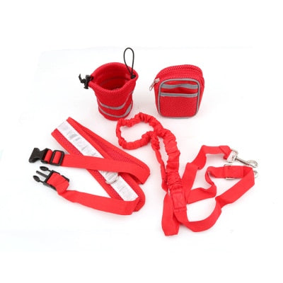 ELASTIC HANDS-FREE DOG LEASH SET