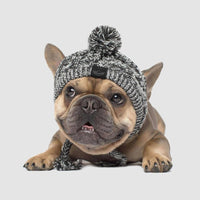 Thumbnail for PoochPom - Polar Dog Pom Pom Hat