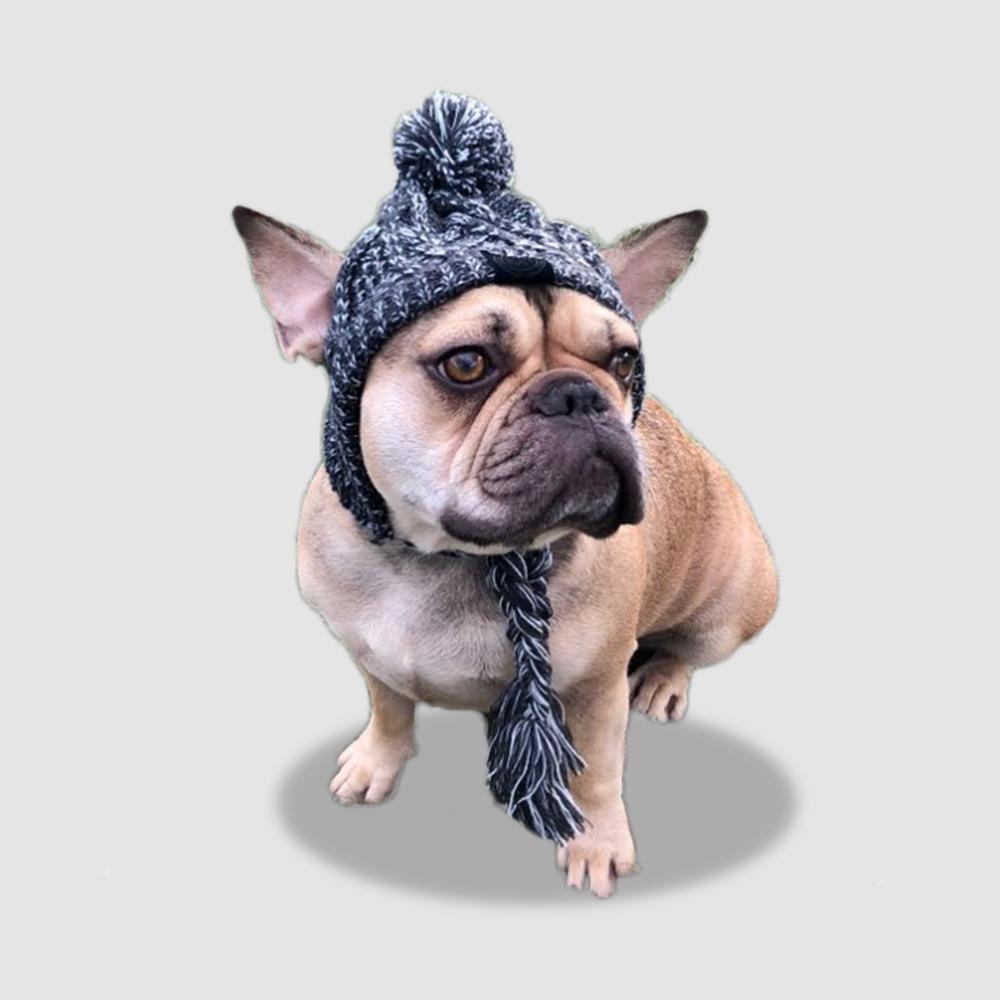 PoochPom - Polar Dog Pom Pom Hat