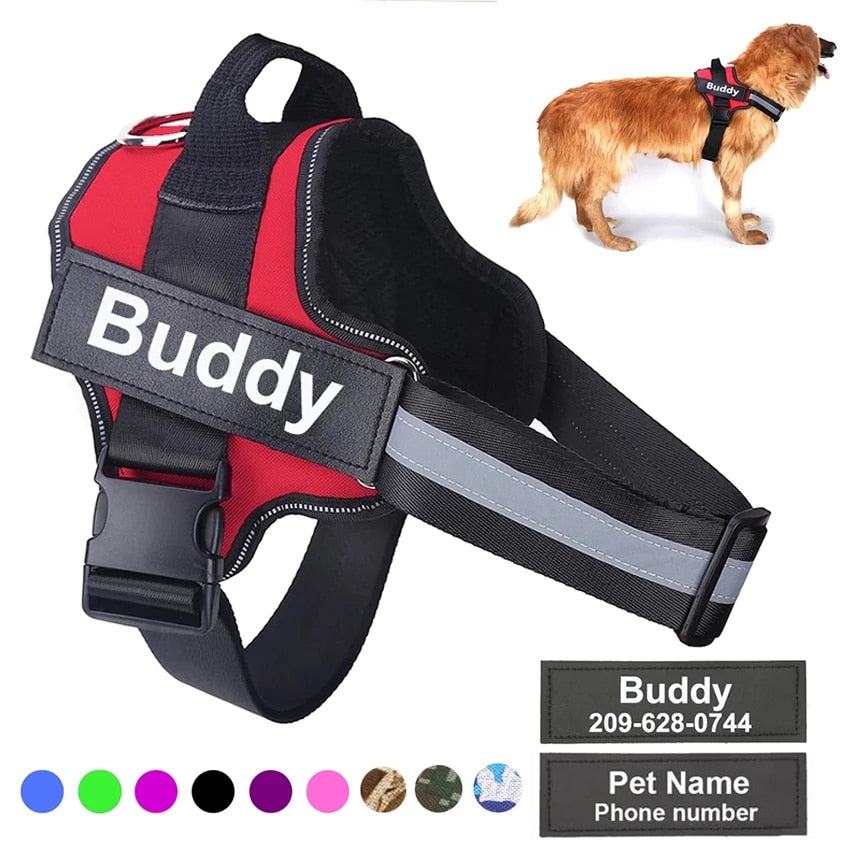 Strap N Walk-Personalized Safety Dog Harness