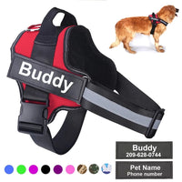 Thumbnail for Strap N Walk-Personalized Safety Dog Harness