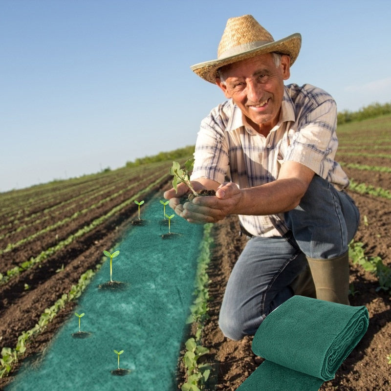 Grass Seed Mat