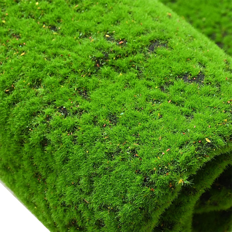 Grass Seed Mat