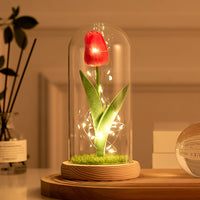 Thumbnail for Glass-covered Perpetual Flower Night Light Ornaments
