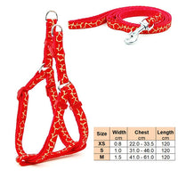 Thumbnail for Dog Harness Leash | Cat Harness Leash | The Pets Beat