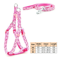 Thumbnail for Dog Harness Leash | Cat Harness Leash | The Pets Beat