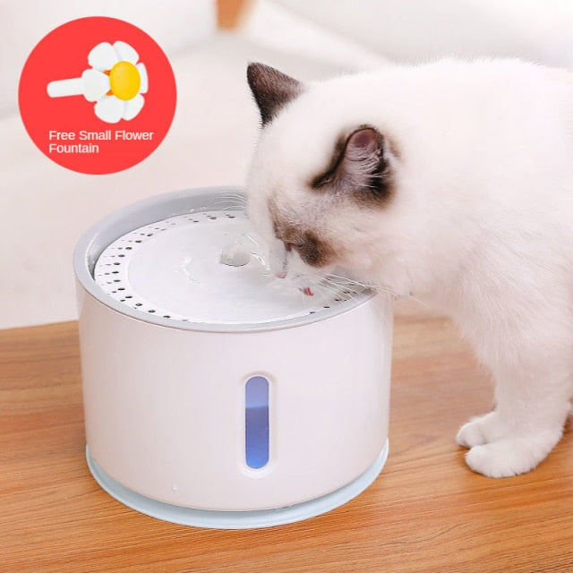 Cat Water Dispenser - Cat Water Feeder | The Pets Beat