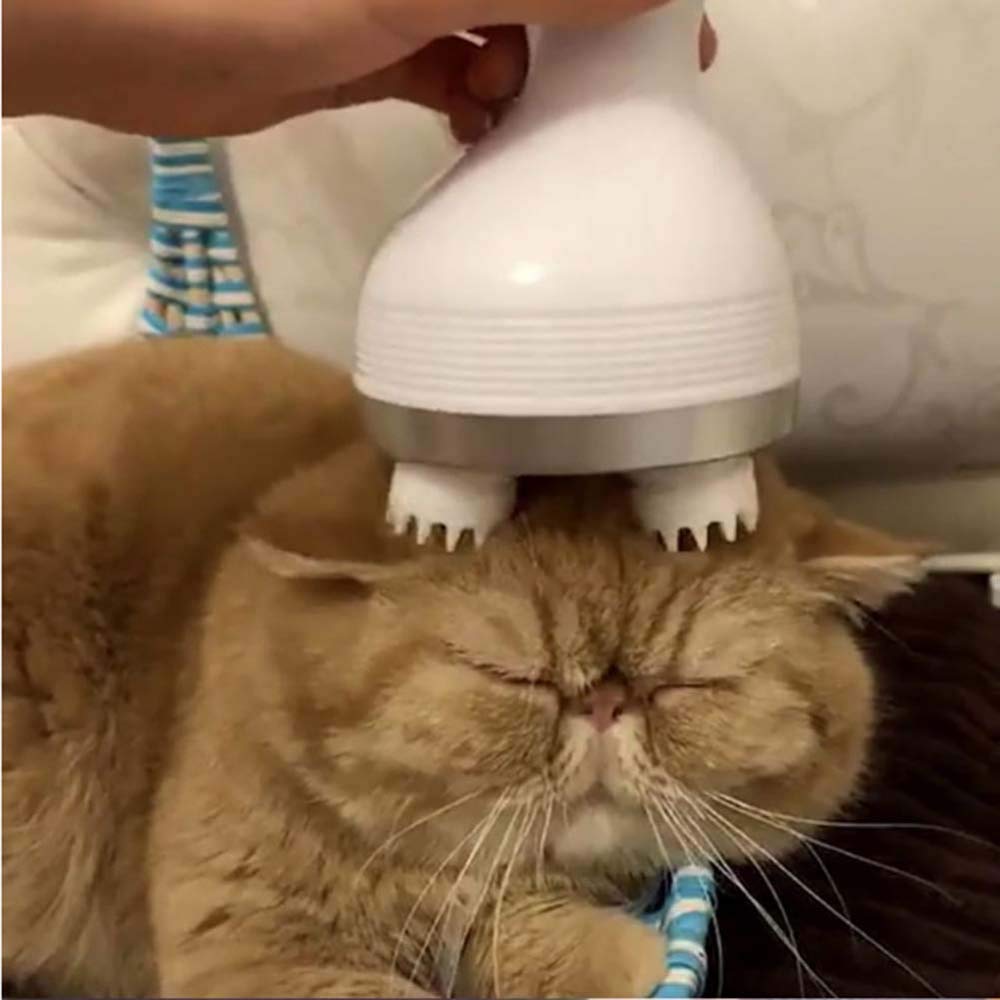 Automatic Cat Massager