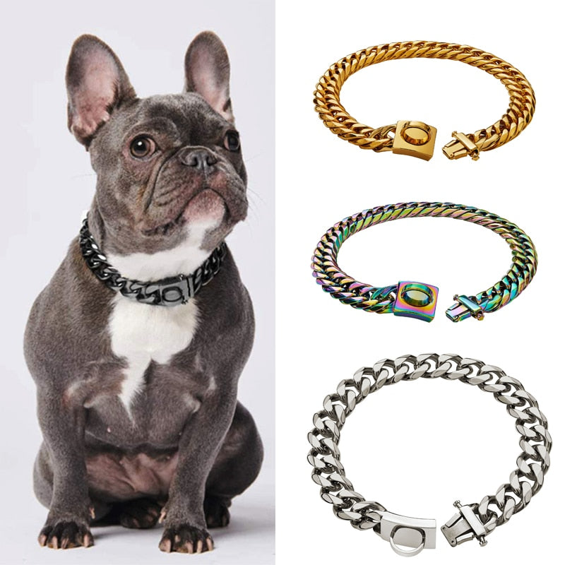 Gold Chain Dog Collar | Dog Collar | The Pets Beat